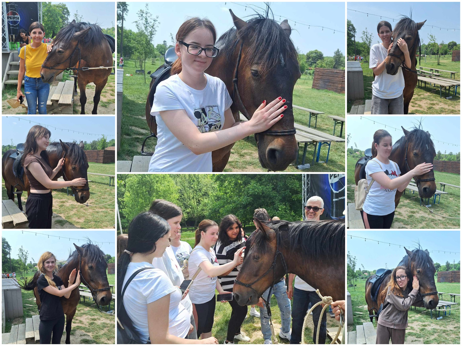 A collage of eight outdoor photographs on a green field. In each image, young people are petting a dark brown horse with a black mane and shiny coat. In the center of the collage, several people stand around the horse while an older man holds its reins. The horse is saddled and appears calm. The participants wear casual clothes, including t-shirts and comfortable pants. The sky is clear, and the atmosphere suggests recreation or animal-assisted therapy.